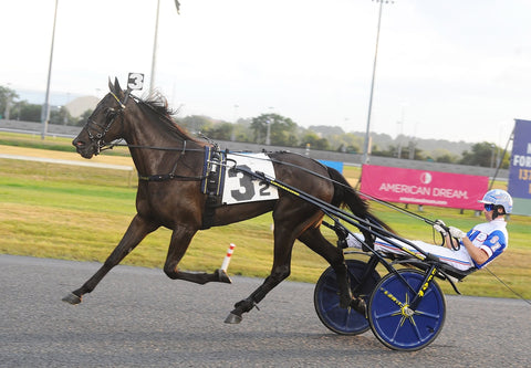 files/Melander_Harness.jpg