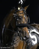 International Lite-N-Tuff 1600 Harness - Complete