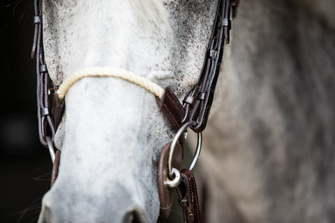 files/rope_nose.jpg