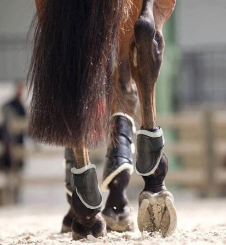 Equestrian Hind Boots