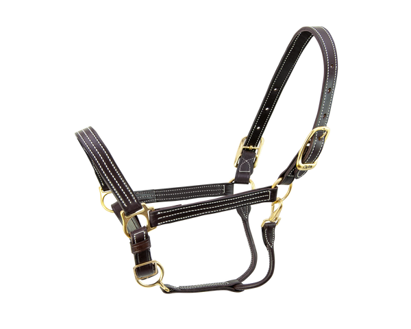 Kentucky Halter - 9700