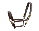 Signature Halter - Horse S5000