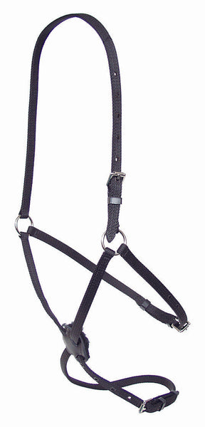 Figure 8 Race Halter - 1323