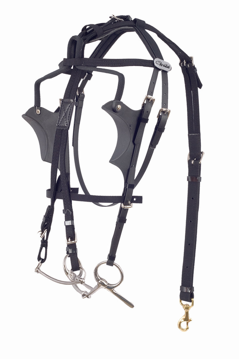 Kant See Back Bridle - US Style - 1340-PCN – The Walsh