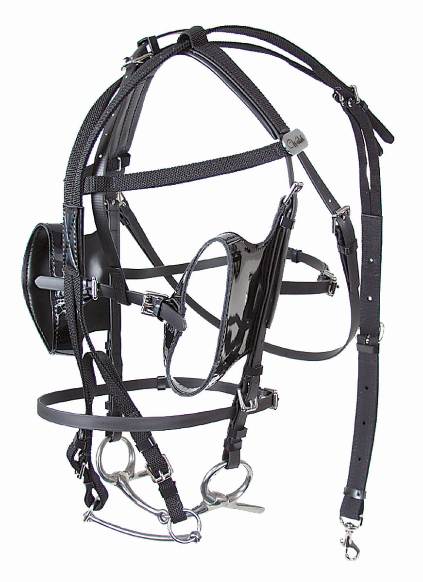 WILD SWANS FULL GRAIN BRIDLE / CLIPPER Ⅲ International Telescope Bridle - 1538-PCN – The Walsh Company, Inc.