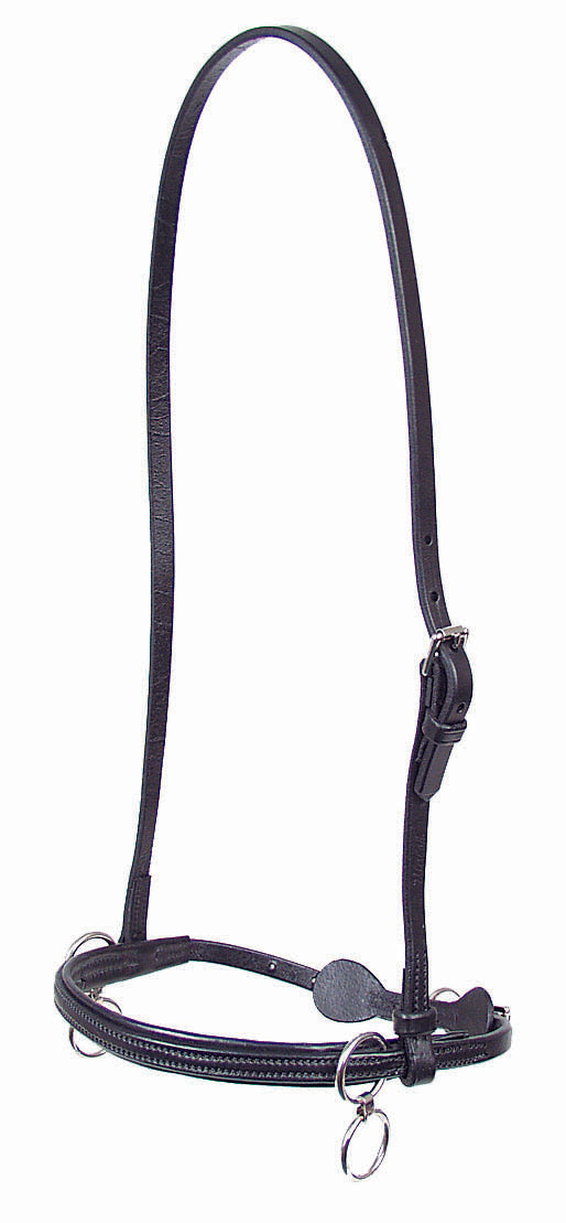 Leather Race Halter - 262D – The Walsh Company, Inc.