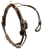 Platinum Performance Roadster Pony Show Harness - 2200