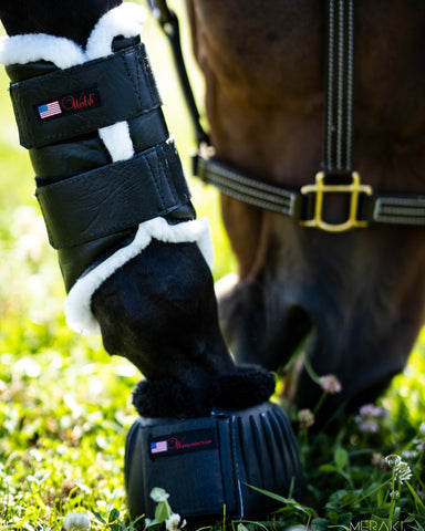 products/sportbootandbellboot_80e86b55-af34-470a-85a6-55e7a03993f9.jpg