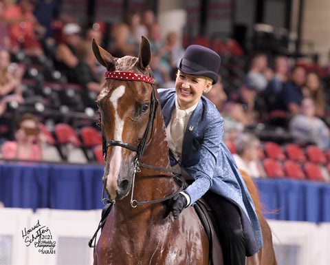 Show Horse