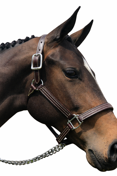 British Halter with Stainless Steel  5100-SS