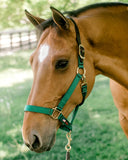 Breakaway 1" Halter with Straight Chin - 65600