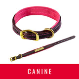 Signature Dog Collar - S7000