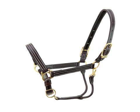 products/9700-HALTER-KENTUCKY-1.png